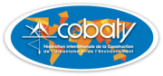 Logo Cobaty
